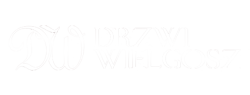 logo-wielgosz-drzwi logo-wielgosz-drzwi